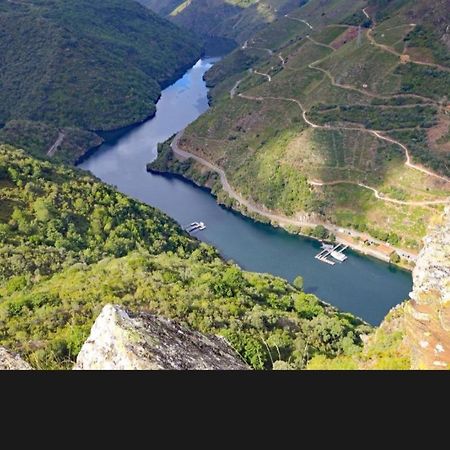 Abeleda Casa A Boga Ribeira Sacraヴィラ エクステリア 写真