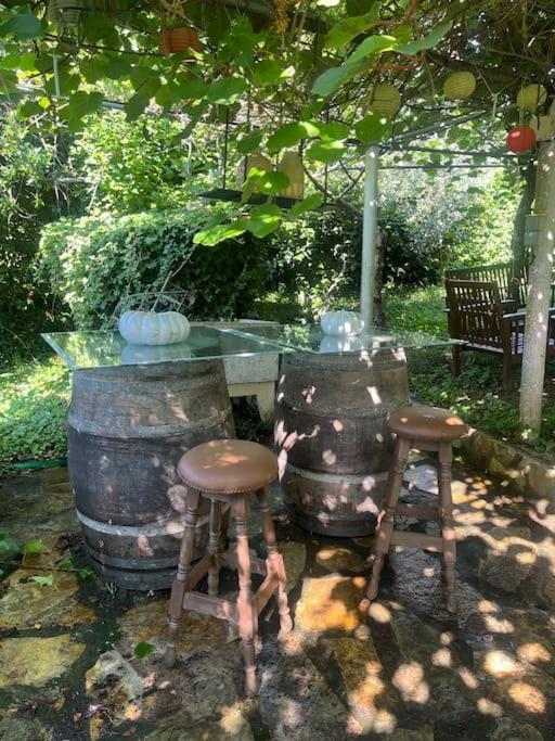 Abeleda Casa A Boga Ribeira Sacraヴィラ エクステリア 写真
