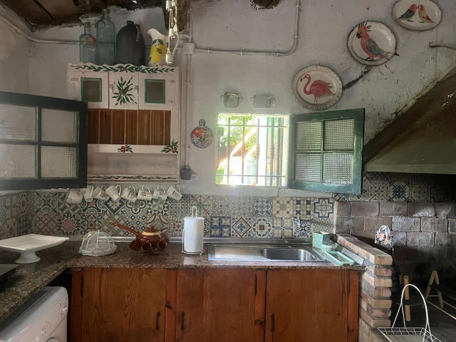 Abeleda Casa A Boga Ribeira Sacraヴィラ エクステリア 写真